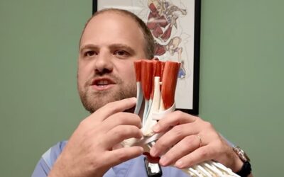 À quoi sert le tendon d’Achille ?